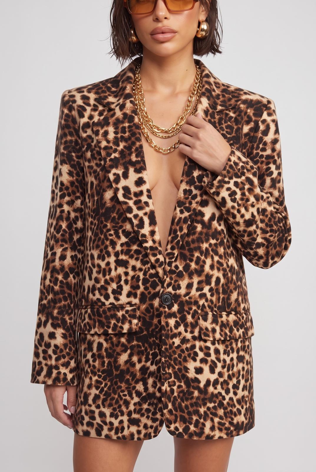 Blazer Jungle