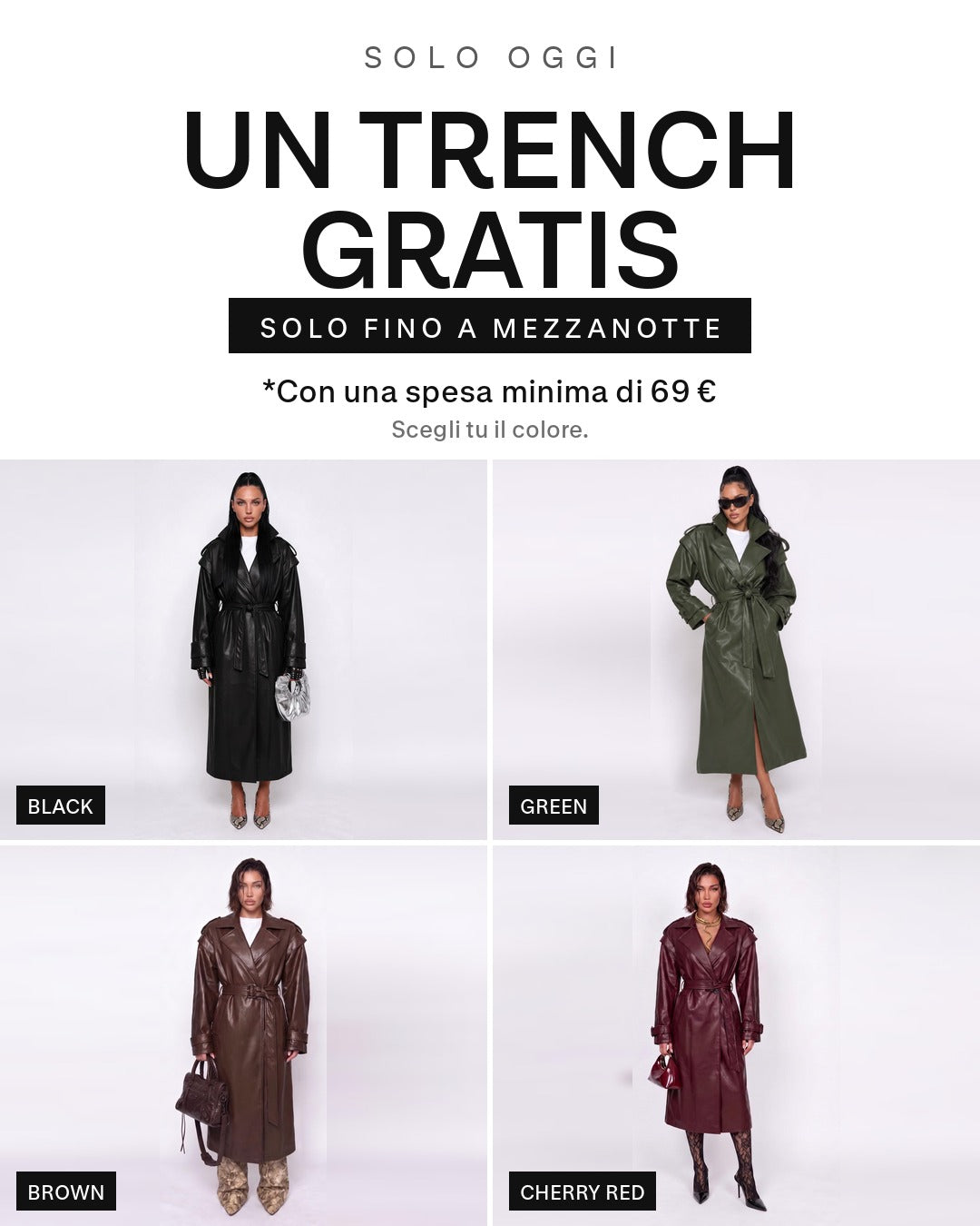 Trench Rich Taste